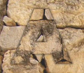 Logo- Andinas