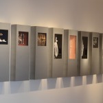 Muestra Ivana Goya